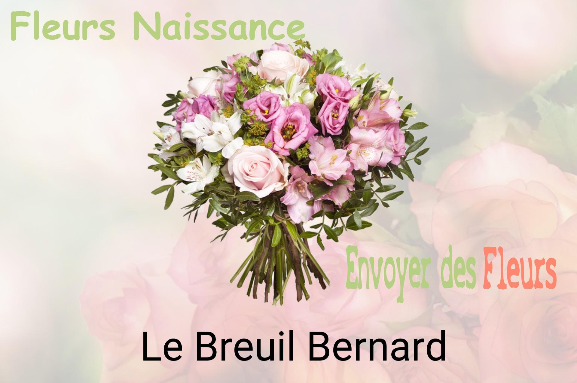 Bouquet de fleurs de naissance livré à Le Breuil-Bernard