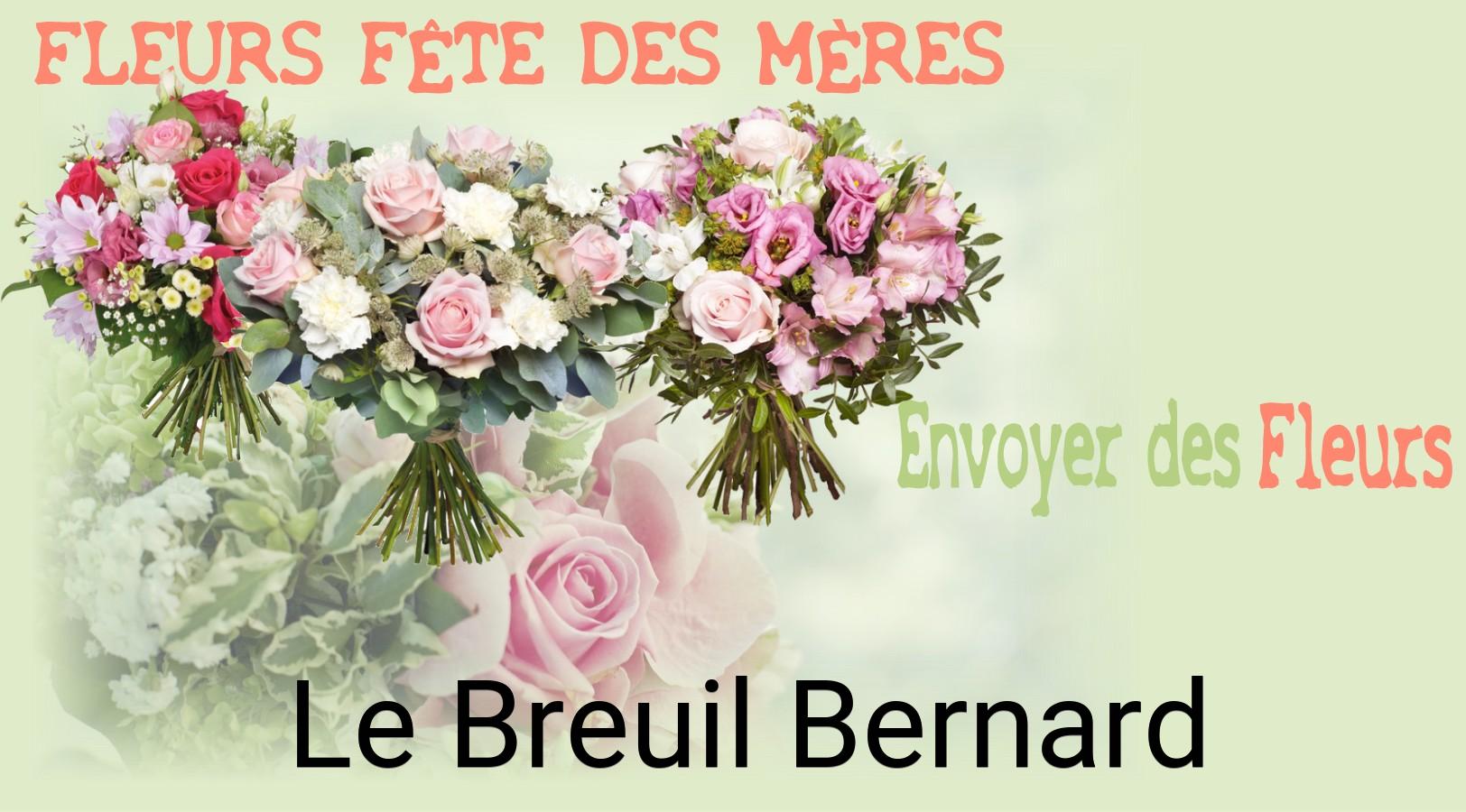 Bouquet de Fête des Mères livré à Le Breuil-Bernard